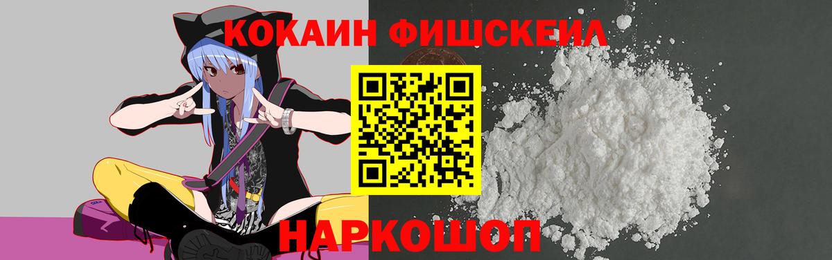 COCAIN Fish Scale  Вход с VPN  Урюпинск 