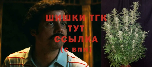 индика Нефтегорск