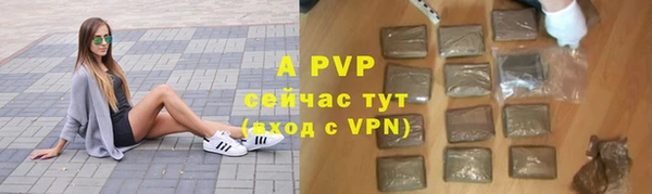 индика Нефтегорск