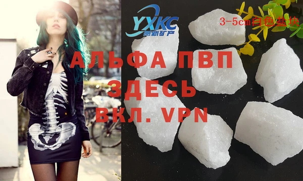 индика Нефтегорск