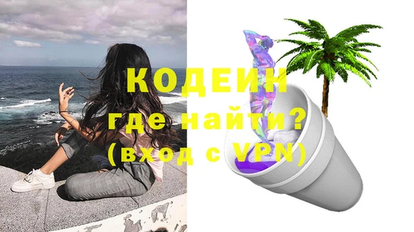 индика Нефтегорск