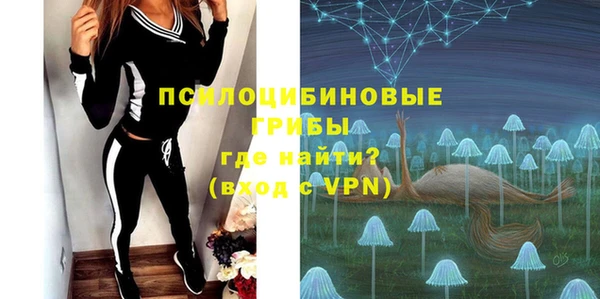индика Нефтегорск