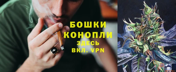 стафф Навашино