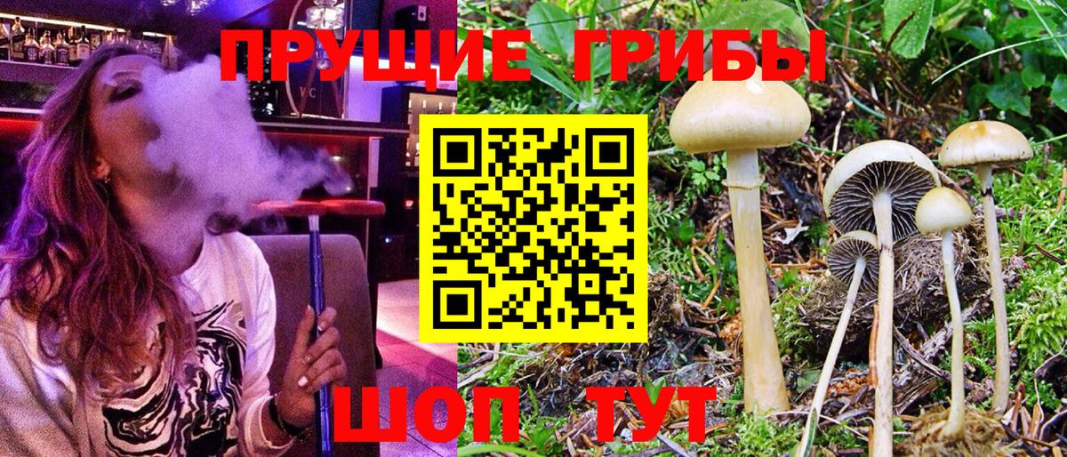 Псилоцибиновые грибы GOLDEN TEACHER  Вход с VPN  Урюпинск 