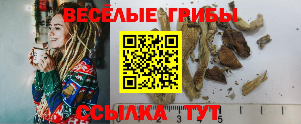 сколько стоит  Галлюциногенные грибы Psilocybine cubensis  Урюпинск  Псилоцибиновые грибы ЛСД 