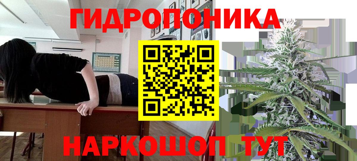 Конопля конопля  Вход с VPN  Урюпинск  Бошки марихуана марихуана  Канабис OG Kush 